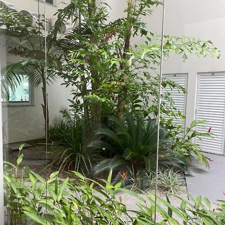 Lindo Apartamento Praia De Palmas Apartment Governador Celso Ramos Exterior photo